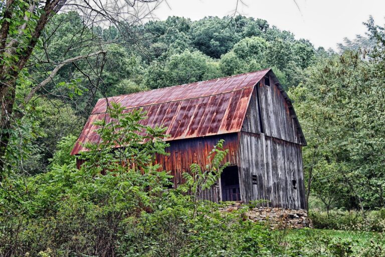 Rural Missouri barn surrounded by trees — a scenic view capturing the pros & cons of living in the Ozarks