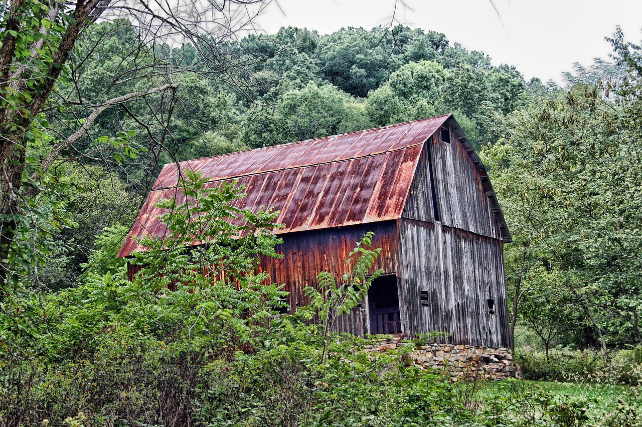Missouri barn surrounded by trees