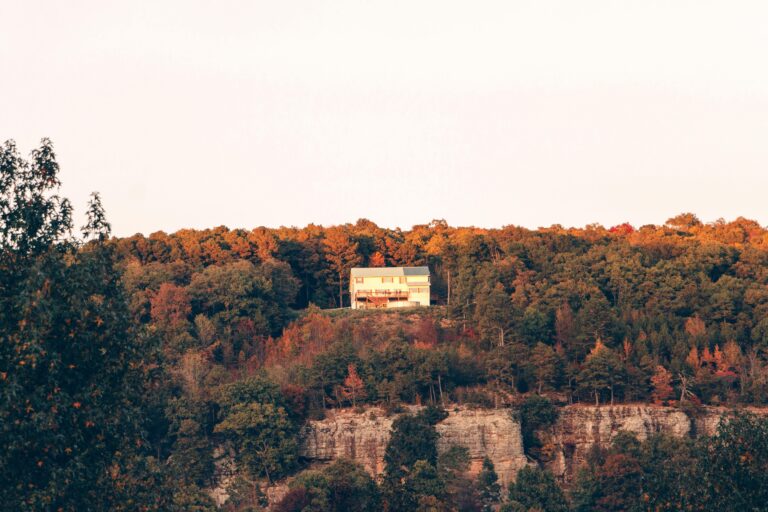 Buying rural property in the Ozarks requires a knowledgeable real estate agent and the right questions