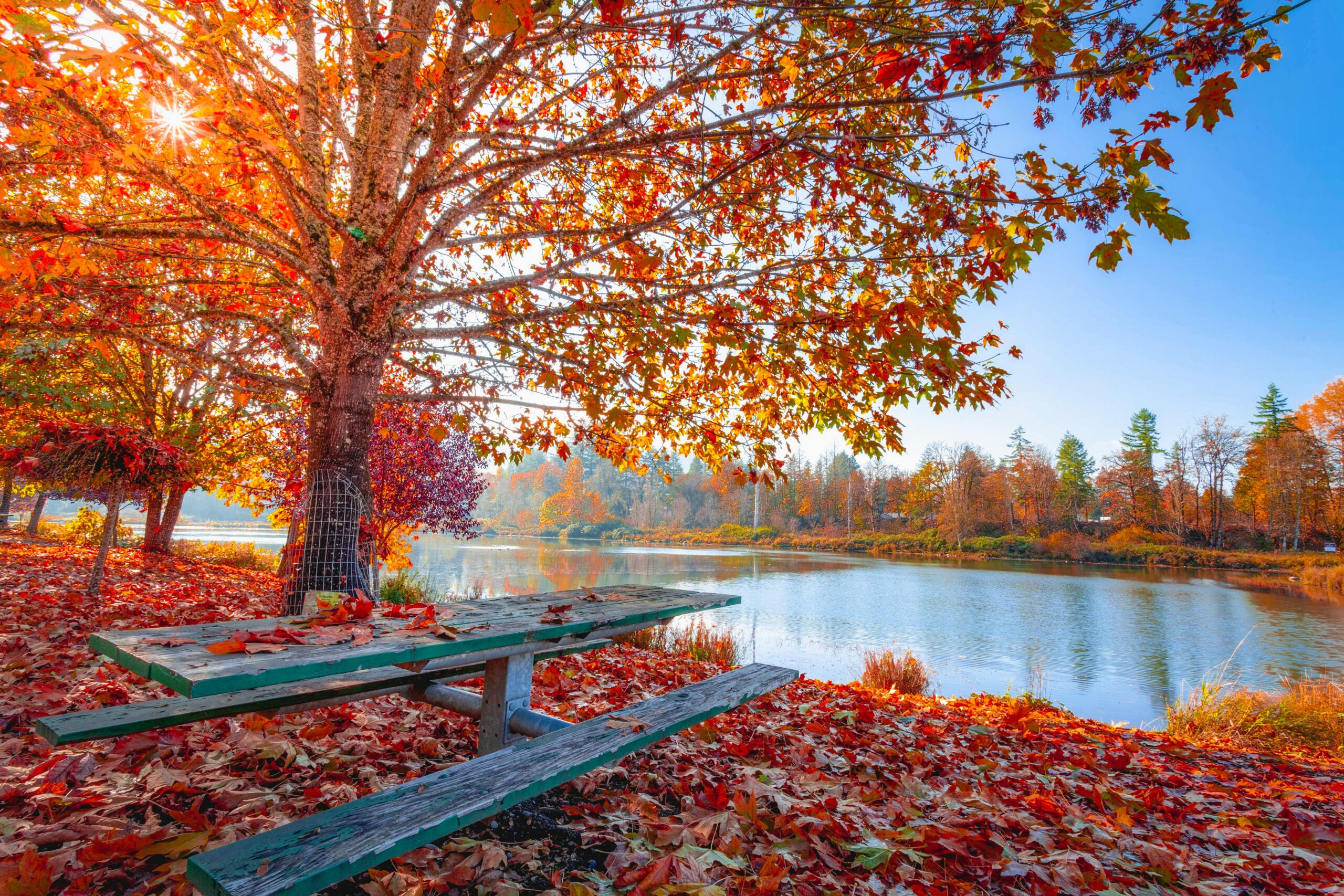 Fall is beautiful in southern Missouri & northern Arkansas, another perk of retiring in the Ozarks