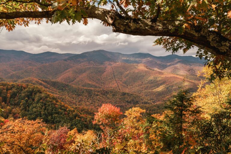 The Smoky Mountains, which run through east Tennessee and western North Carolina, captured in the fall