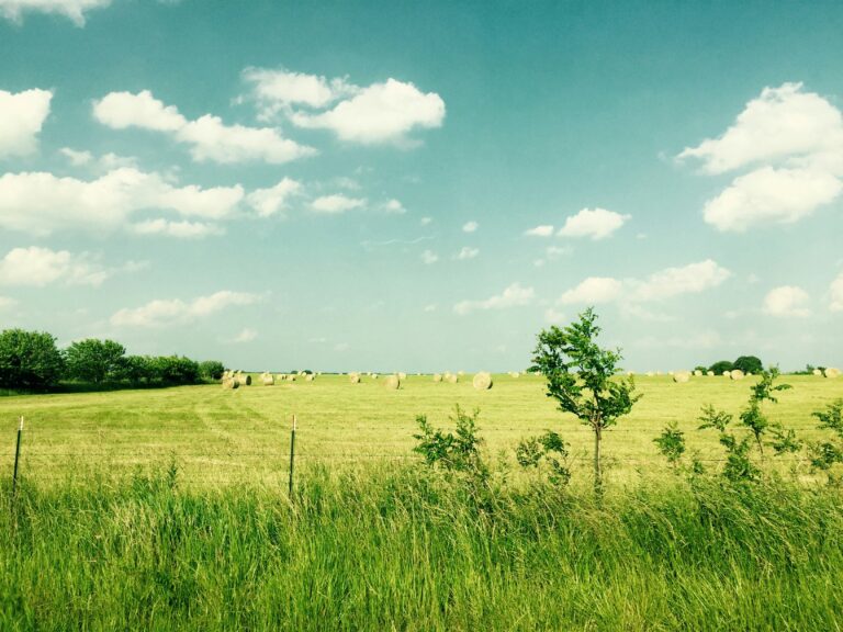 Land with hay bales in Mountain Grove, Missouri
